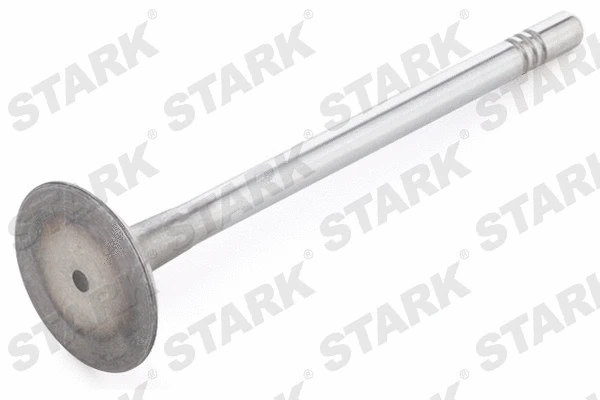 Intake Valve (SKINV-3270016)