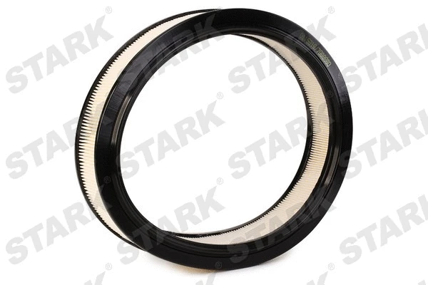 Air Filter (SKAF-0060309)