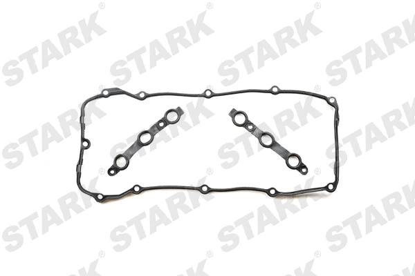 Gasket Set, cylinder head cover (SKGSR-0490040)