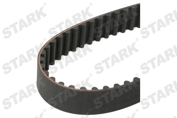 Timing Belt