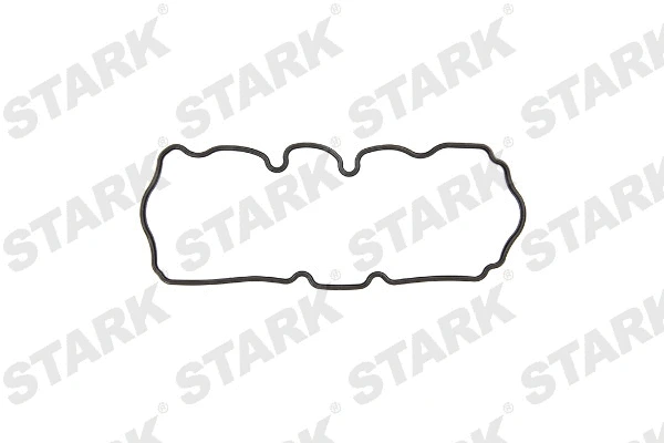 Gasket, cylinder head cover (SKGRC-0480095)