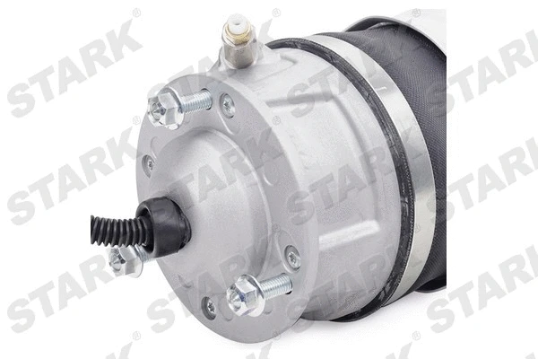 Air Suspension Strut