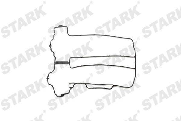 Gasket Set, cylinder head cover (SKGSR-0490013)