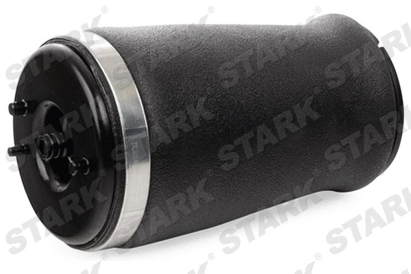 Air Suspension Strut (SKAST-1860064)