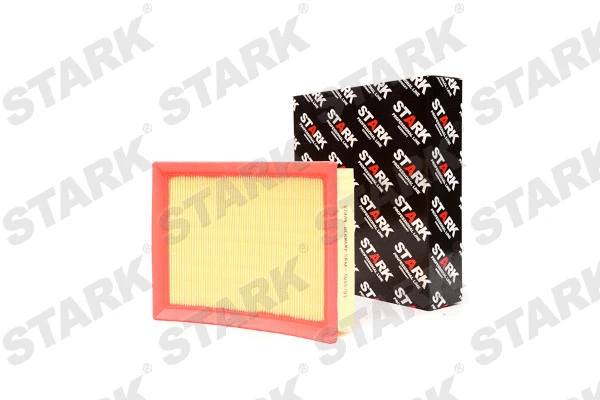 Air Filter (SKAF-0060193)