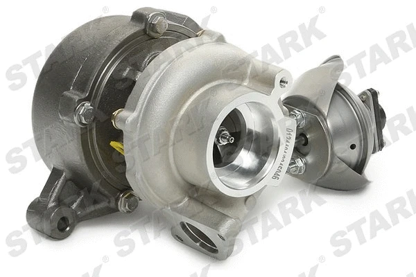 Charger, charging (supercharged/turbocharged) (SKCT-1190039)