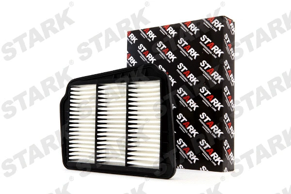 Air Filter (SKAF-0060208)