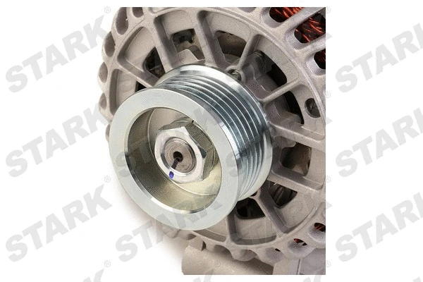 Alternator (SKGN-0321291)
