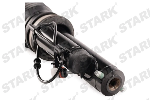 Air Suspension Strut (SKAST-1860003)