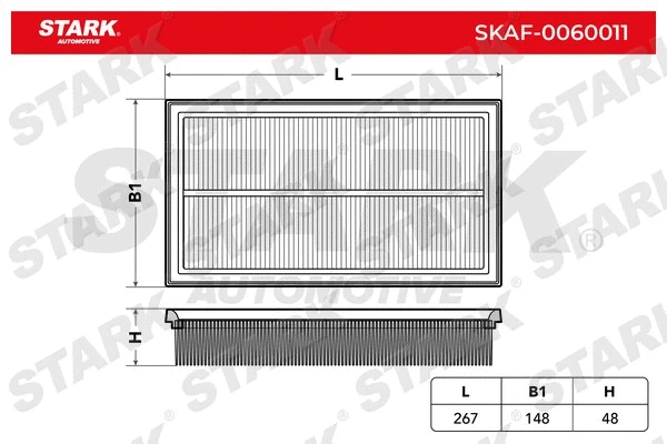 Air Filter (SKAF-0060011)