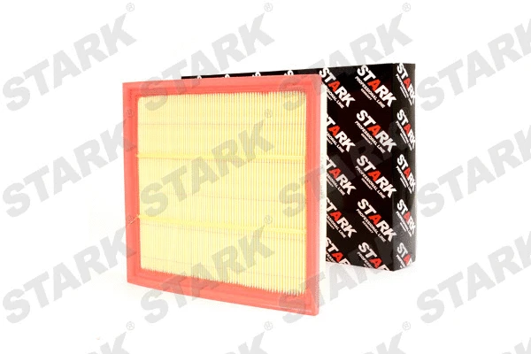 Air Filter (SKAF-0060225)