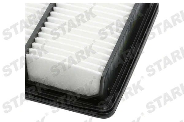 Air Filter (SKAF-0060412)