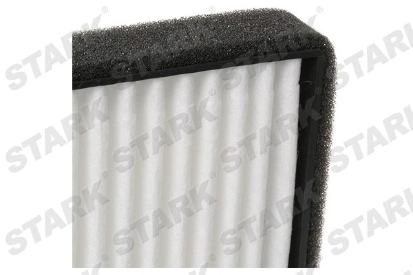 Filter, cabin air (SKIF-0170143)