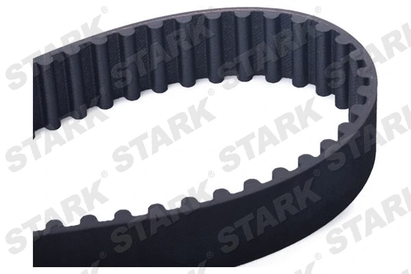 Timing Belt