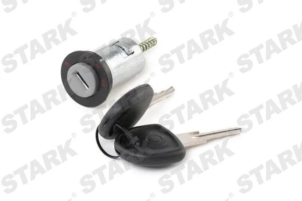 Lock Cylinder, ignition lock (SKLOC-4450003)
