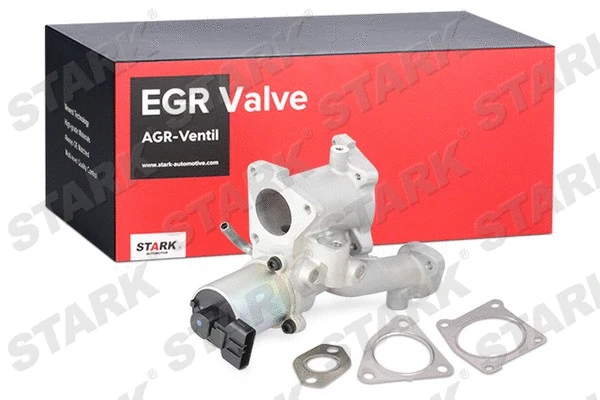 EGR Valve