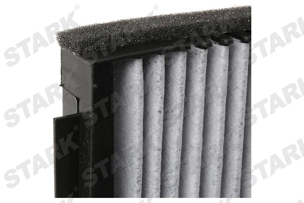 Filter, cabin air (SKIF-0170301)