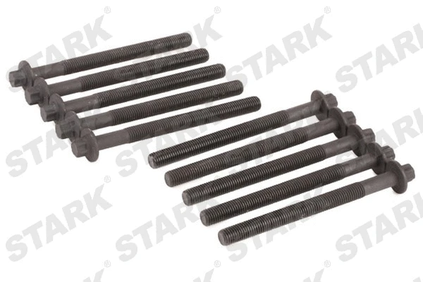 Cylinder Head Bolt Set (SKBOK-23660014)