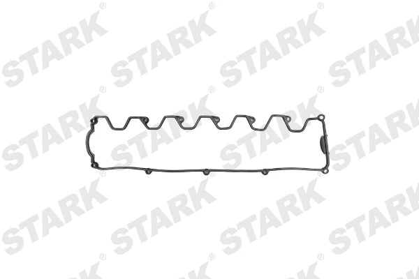 Gasket, cylinder head cover (SKGRC-0480022)