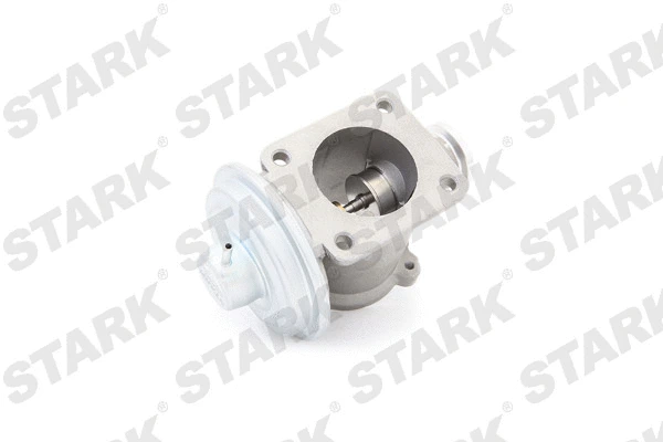 EGR Valve (SKEGR-0770068)