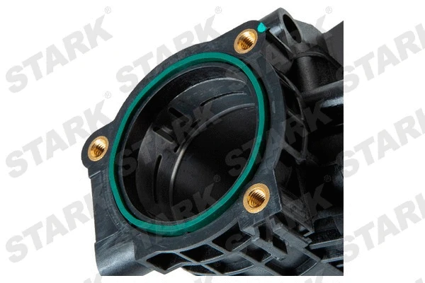 Intake Manifold Module