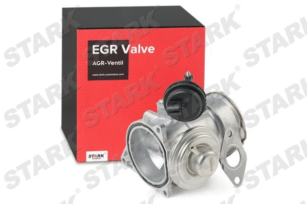 EGR Valve