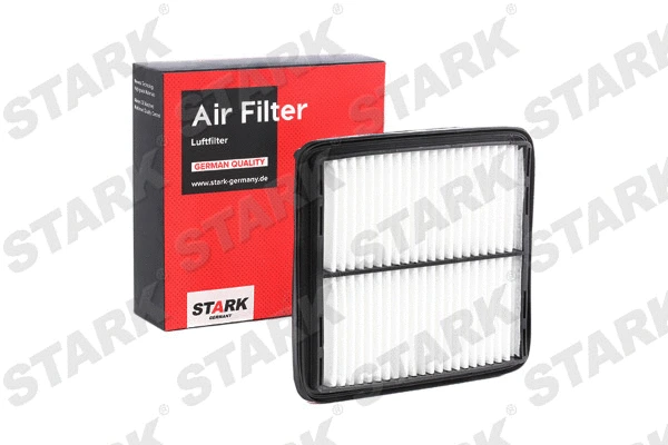 Air Filter (SKAF-0060465)