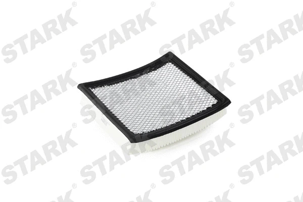 Air Filter (SKAF-0060307)
