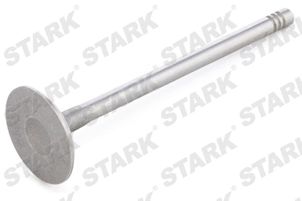Intake Valve