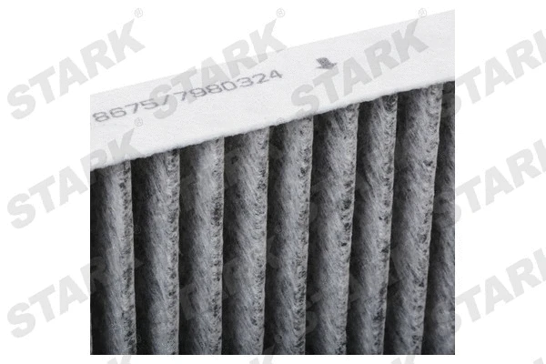 Filter, cabin air (SKIF-0170318)