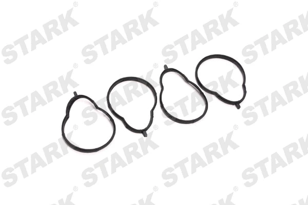 Gasket Set, intake manifold (SKGSI-2210017)