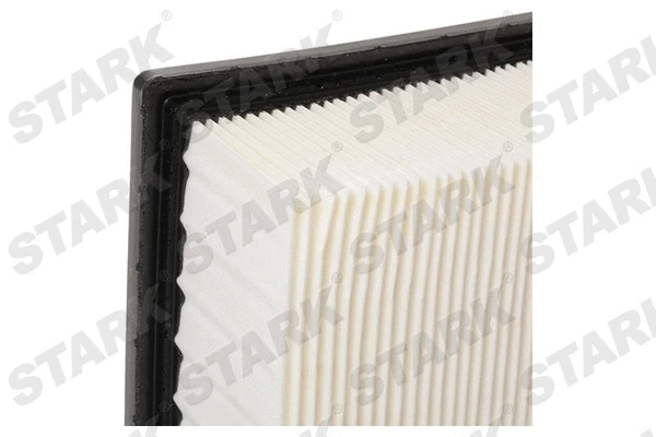 Air Filter (SKAF-0060494)