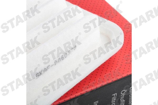 Air Filter (SKAF-0060379)