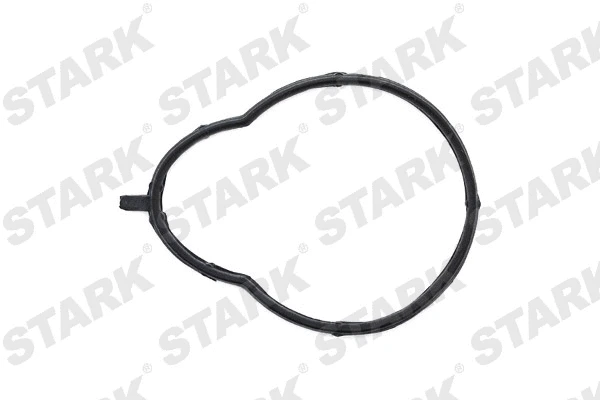 Gasket, intake manifold (SKGI-0710061)
