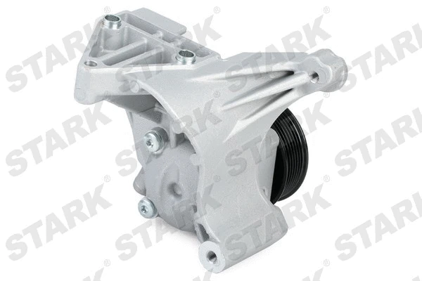 Hydraulic Pump, steering (SKHP-0540160)