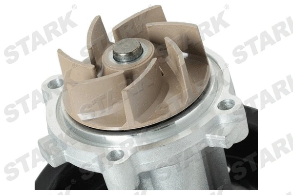 Water Pump + V-Ribbed Belt Kit