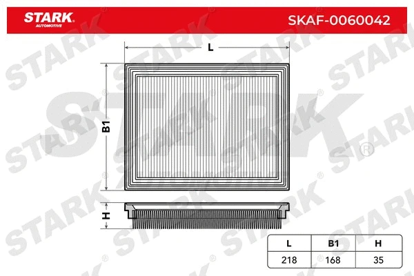 Air Filter (SKAF-0060042)
