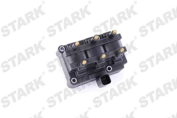 Ignition Coil (SKCO-0070219)