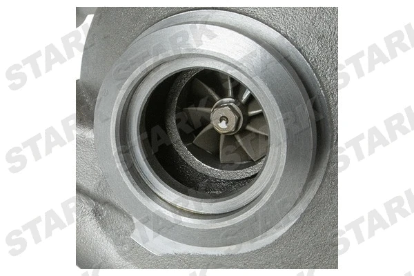 Charger, charging (supercharged/turbocharged) (SKCT-1190360)