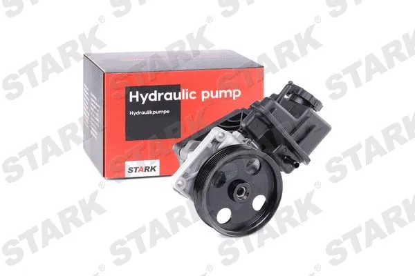 Hydraulic Pump, steering (SKHP-0540125)