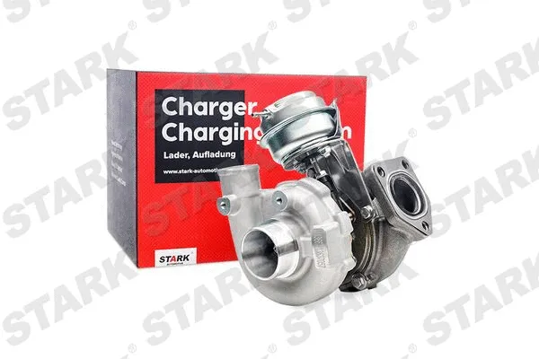 Charger, charging (supercharged/turbocharged) (SKCT-1190083)