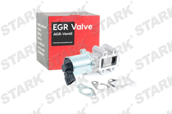 EGR Valve