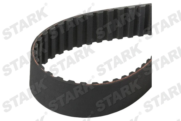 Timing Belt