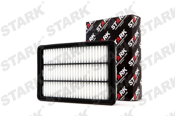 Air Filter (SKAF-0060253)