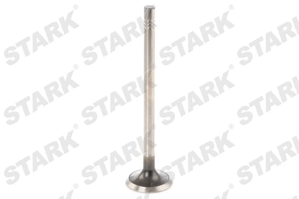 Exhaust Valve