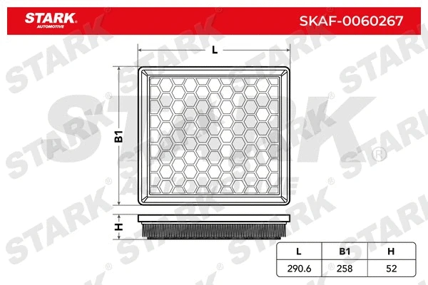 Air Filter (SKAF-0060267)