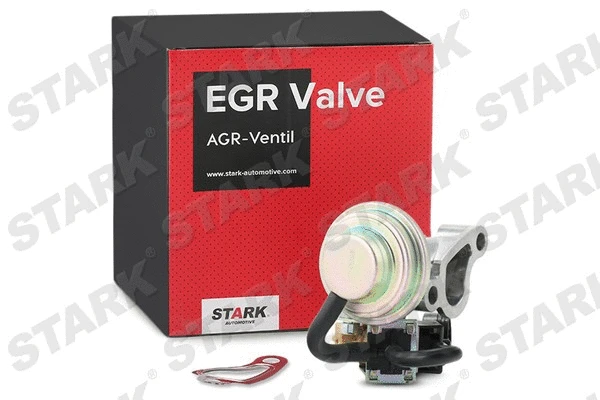 EGR Valve
