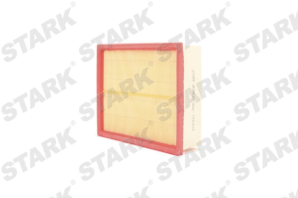 Air Filter (SKAF-0060038)