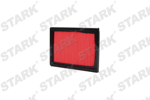 Air Filter (SKAF-0060073)