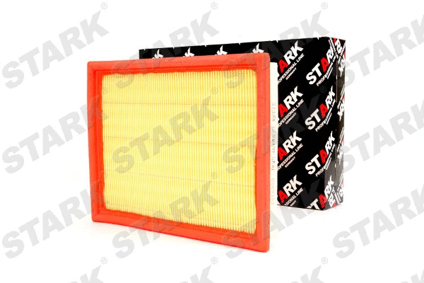 Air Filter (SKAF-0060393)